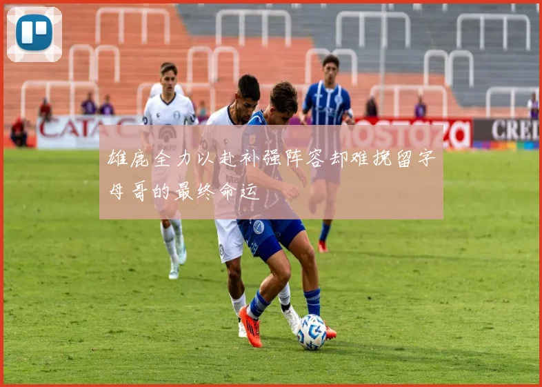 雄鹿全力以赴补强阵容却难挽留字母哥的最终命运