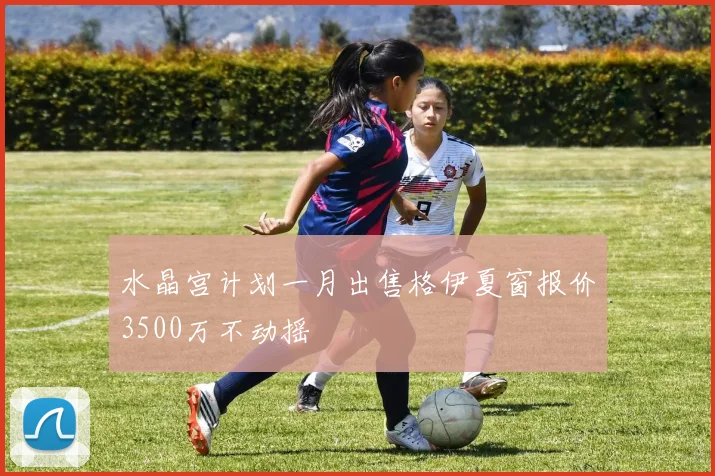 水晶宫计划一月出售格伊夏窗报价3500万不动摇