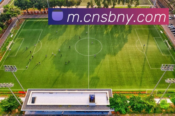 数据防护可视化